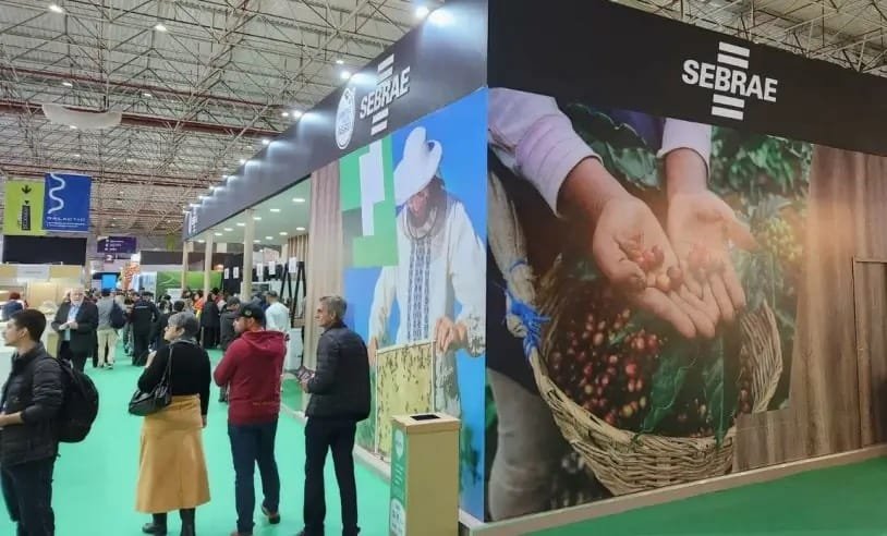 Nove produtores de orgânicos do RN participam da Bio Brazil Fair em São Paulo