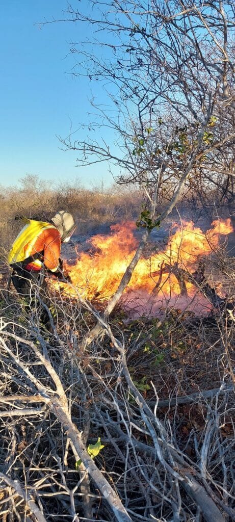 Incêndios em vegetação cresceram 62,4% somente em Natal e região metropolitana