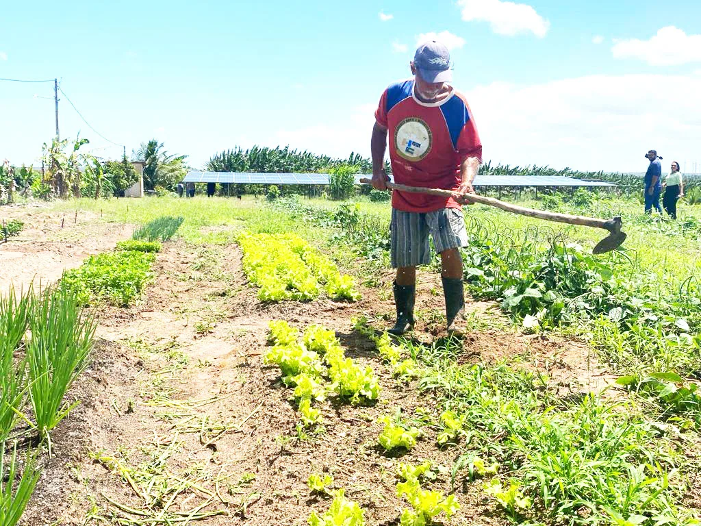 Investimentos e qualificação transformam realidade no campo