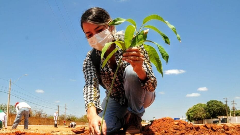 Projeto entrega 1,8 mil mudas para agricultores do Rio Grande do Norte
