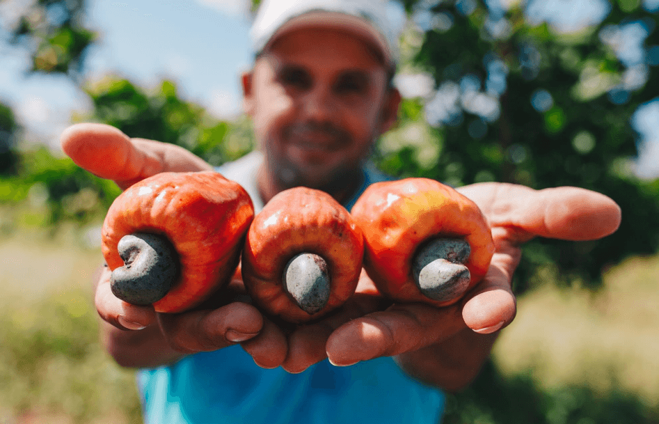 Inscrições para o projeto ALI Rural no Rio Grande do Norte vão até o dia 26 de janeiro