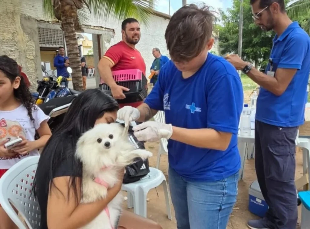 Campanha Antirrábica 2025: veja onde vacinar cães e gatos neste sábado (20)