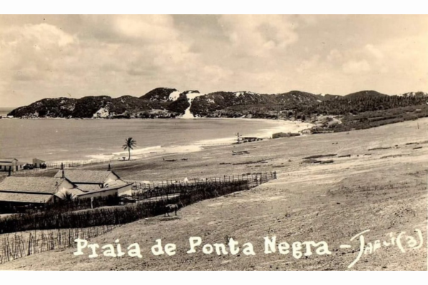 Ricardo Tersuliano – Cobra