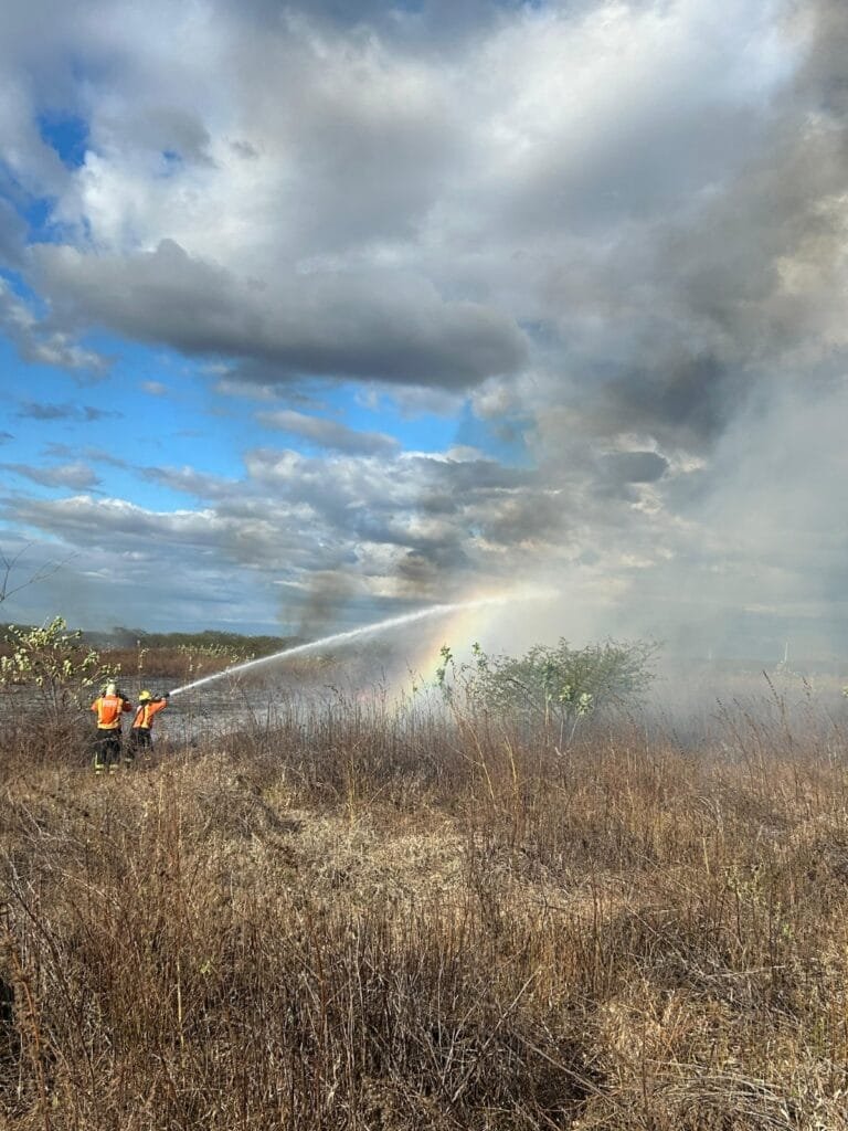 Bombeiros do RN atendem cinco ocorrências de incêndio em vegetação em Mossoró em um único dia