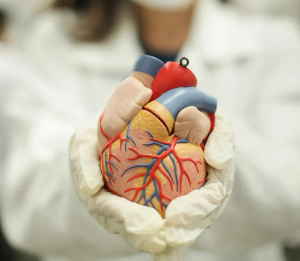 Casos de infarto em jovens acendem alerta para prevenção e hábitos saudáveis