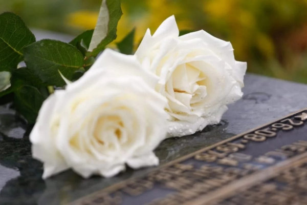 Dia de Finados: data pode intensificar sentimento de vazio, saudade ou desamparo