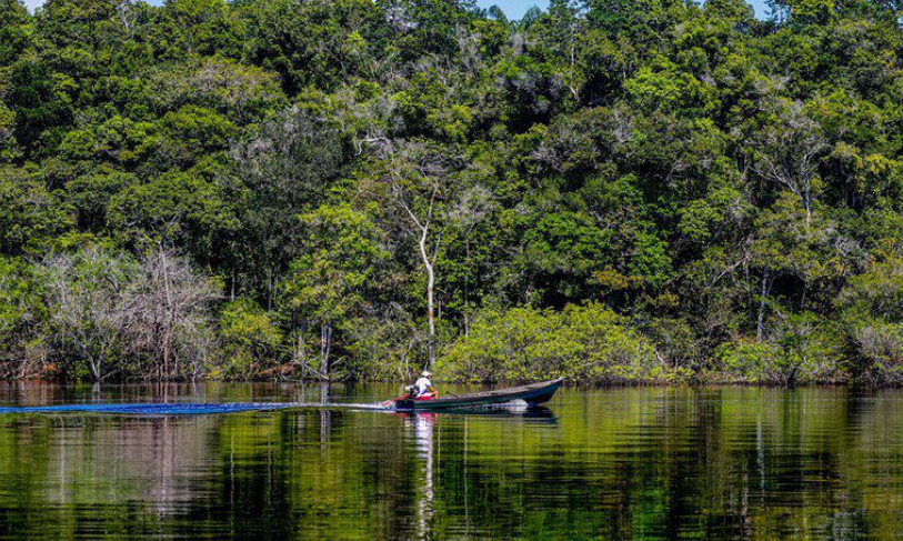 Em 2025, desmatamento tem redução de 11,08% na Amazônia e 11,49% no Cerrado