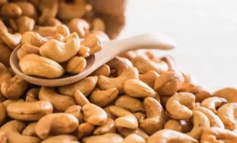 Cadeia produtiva potiguar: Castanha de Serra do Mel conquista Indicação Geográfica e ganha reconhecimento nacional