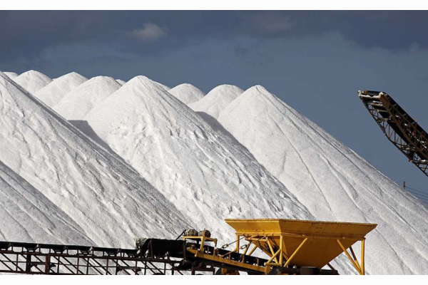 Conversa Livre por Bosco Afonso