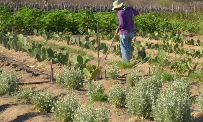 Lula assina decretos que destinam terras para reforma agrária no RN e em mais quatro estados