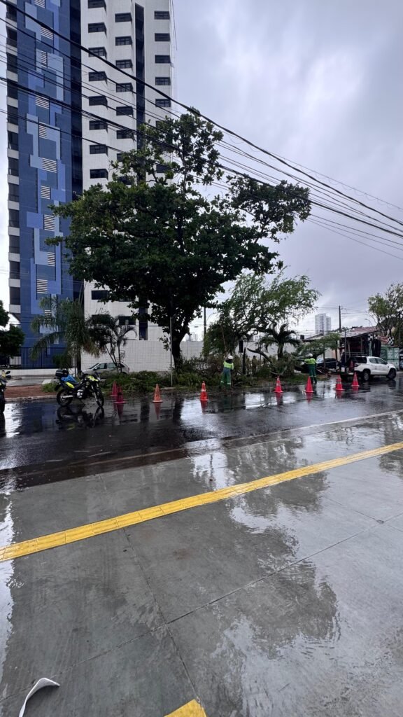 Chuvas fortes causam queda de árvore e deixa via parcialmente bloqueada em Natal