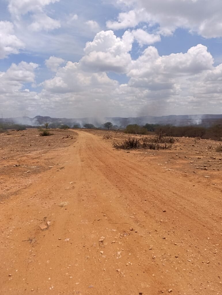 Incêndio em vegetação na zona rural de São Vicente resulta em morte de animais