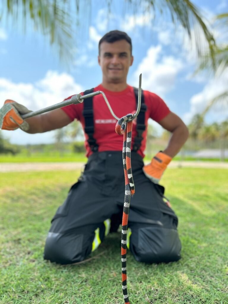 Bombeiros do RN orientam população sobre prevenção e primeiros socorros em casos de picadas de cobra