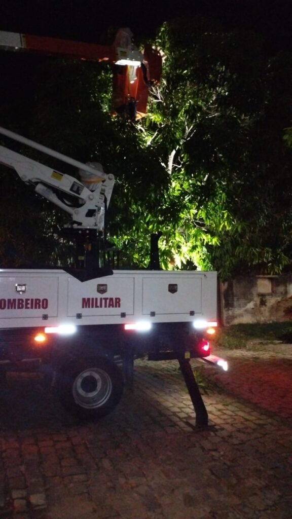 Bombeiros do RN realizam manejo de abelhas em São João do Sabugi