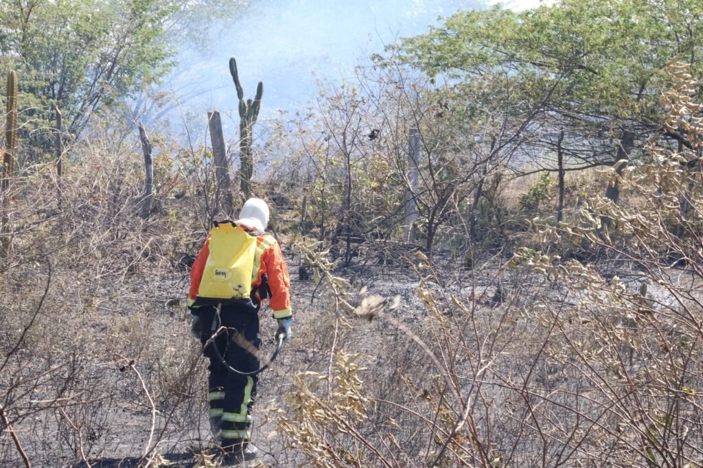 Bombeiros do RN alerta para aumento de incêndios em vegetação e reforça cuidados preventivos