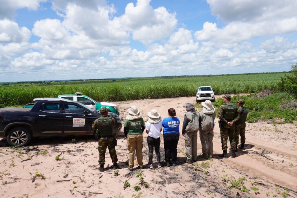 MPRN e órgãos de fiscalização emitem mais de R$ 700 mil em multas por áreas desmatadas irregularmente