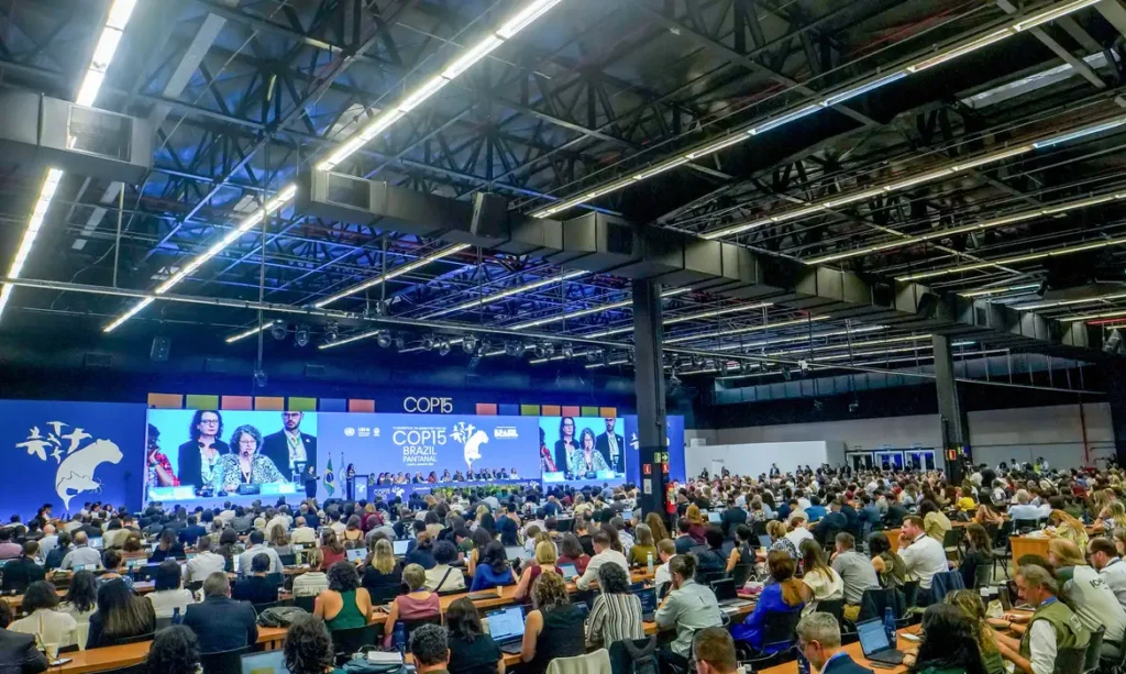 COP15 aprova maior proteção de bagres gigantes da Amazônia e ariranhas