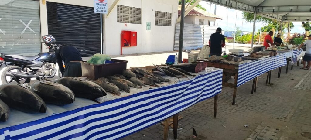 Feira do Peixe é instalada no Canto do Mangue para atender à demanda da Semana Santa