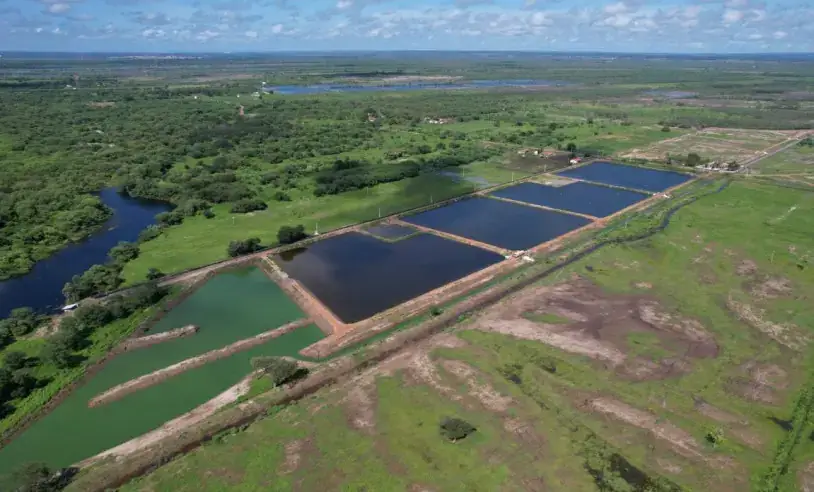 Sebrae-RN lança programa para fortalecer carcinicultura sustentável no interior do estado