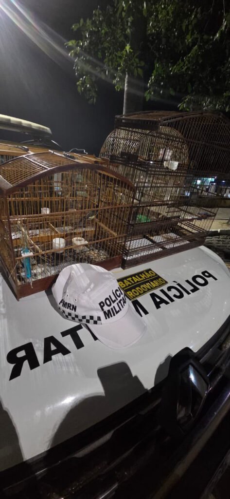Homem que transportava aves silvestres em gaiolas é detido durante blitz na Grande Natal
