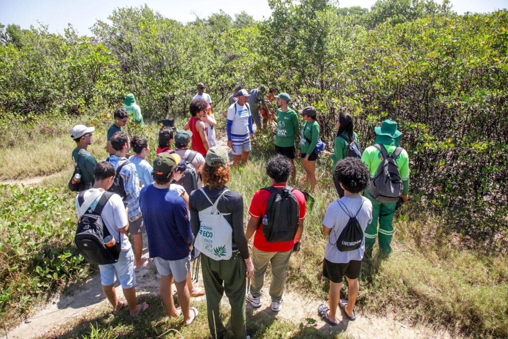 Operação Mangue Vivo planta 2,3 mil sementes em Natal