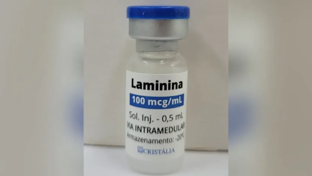 Polilaminina em pesquisa para tratamento de lesões na medula