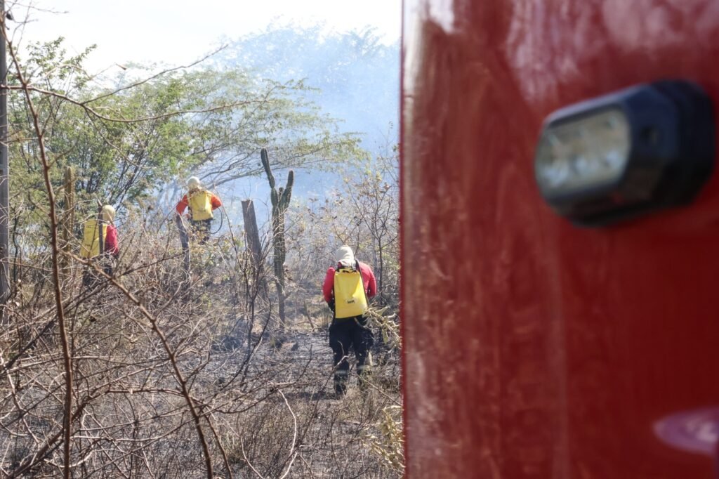 Incêndios em vegetação aumentam 21,4% no RN entre janeiro e setembro